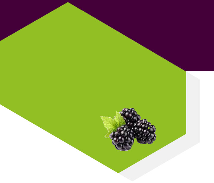 templatemo price img